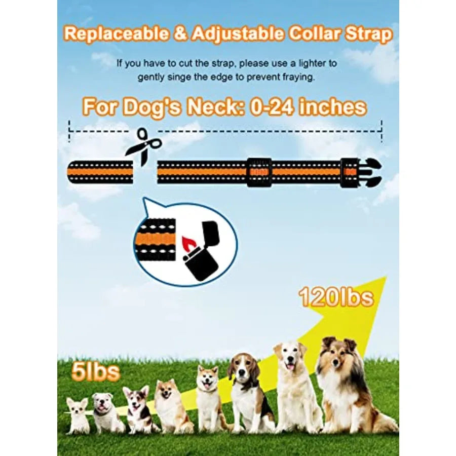 Dog Training Collar Waterproof Remote Beep Vibration Shock Modes