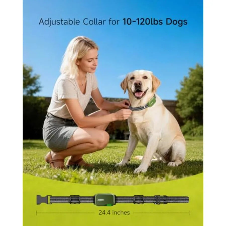 Dual Dog Training Collar For Two Dogs 10-120 Lbs IPX8