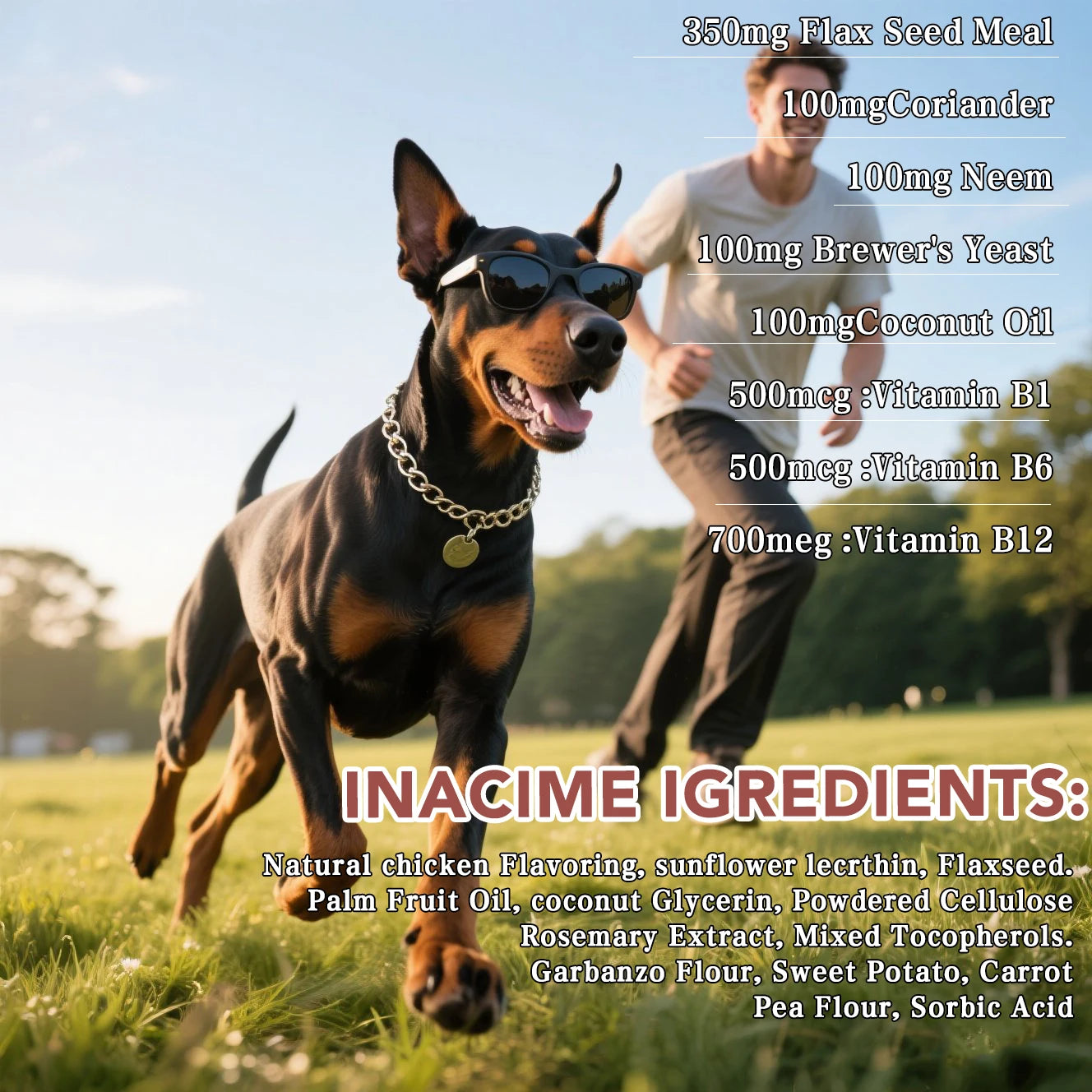 Dog Multivitamin Soft Chews For Skin Coat Immune Health