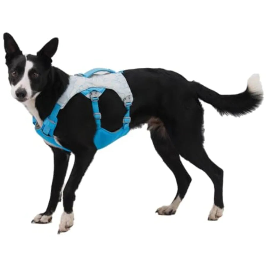 Swamp Cooler Dog Harness Lightweight Evaporative Cooling For Hot Weather