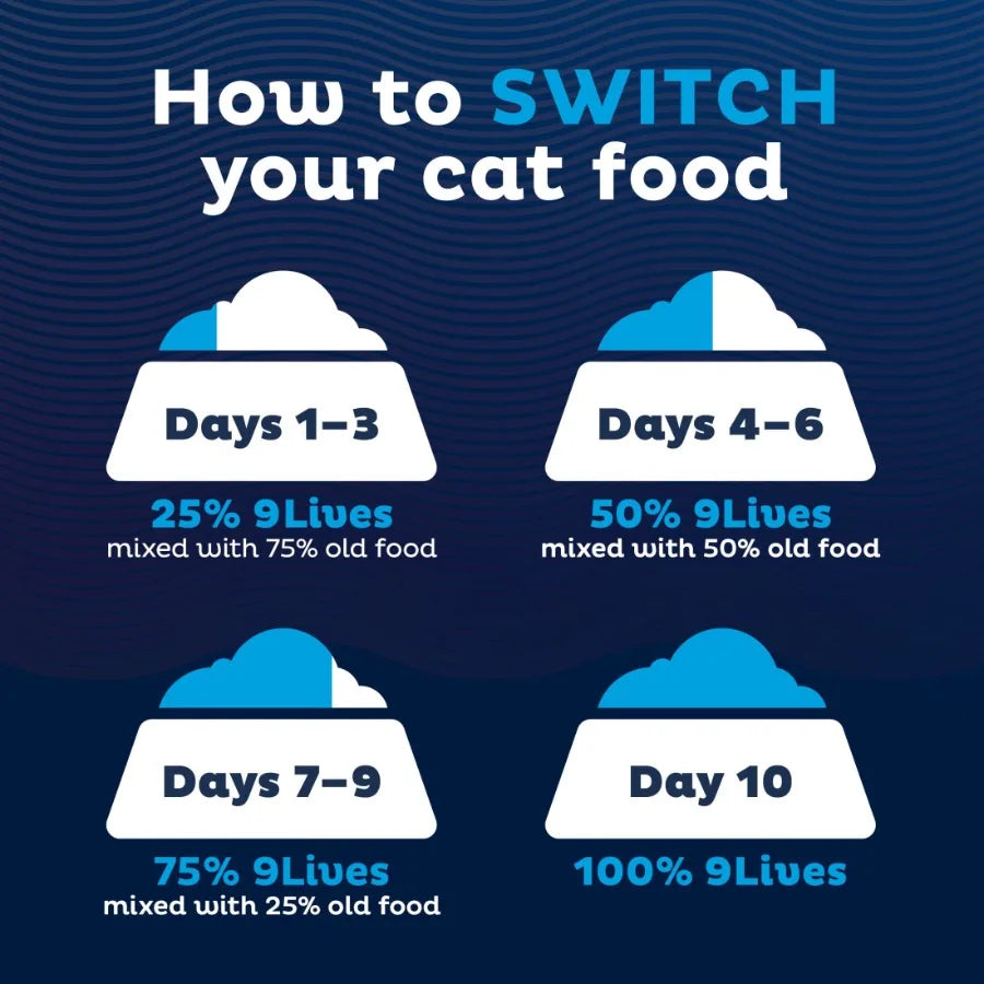 Indoor Essentials Dry Cat Food for Adult Cats Chicken and Salmon Flavors