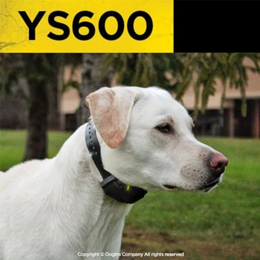YS600 Rechargeable Waterproof Bark Collar For Outdoor Training