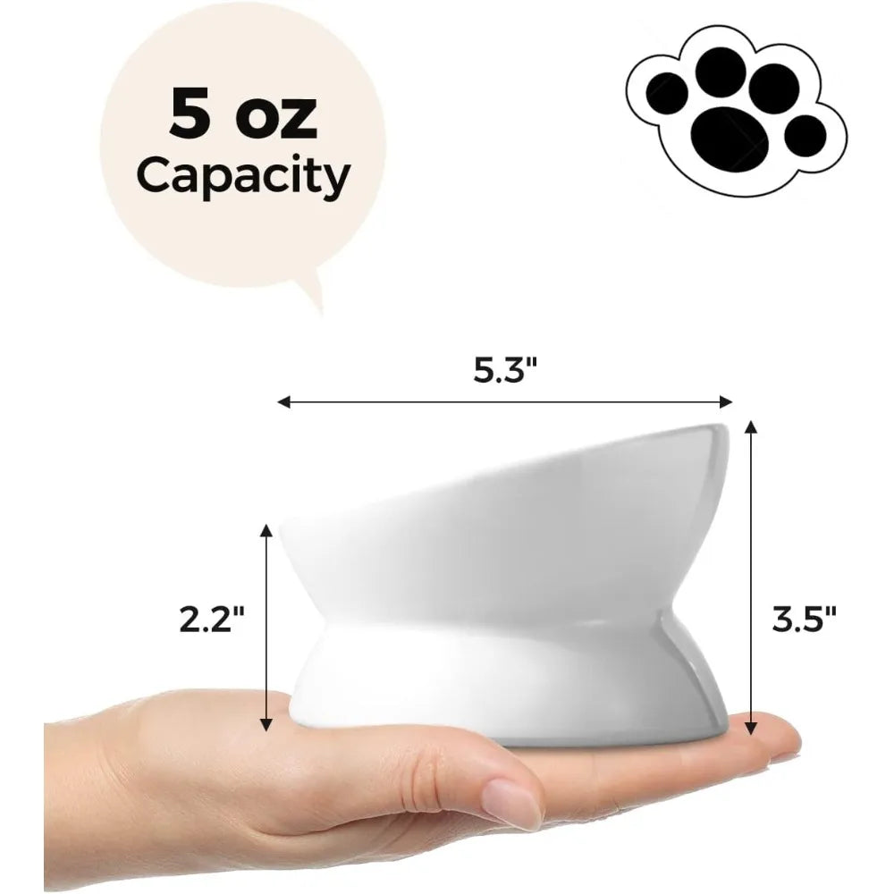 Elevated Ceramic Cat Bowl Tilted Slow Feeder For Spinal Health