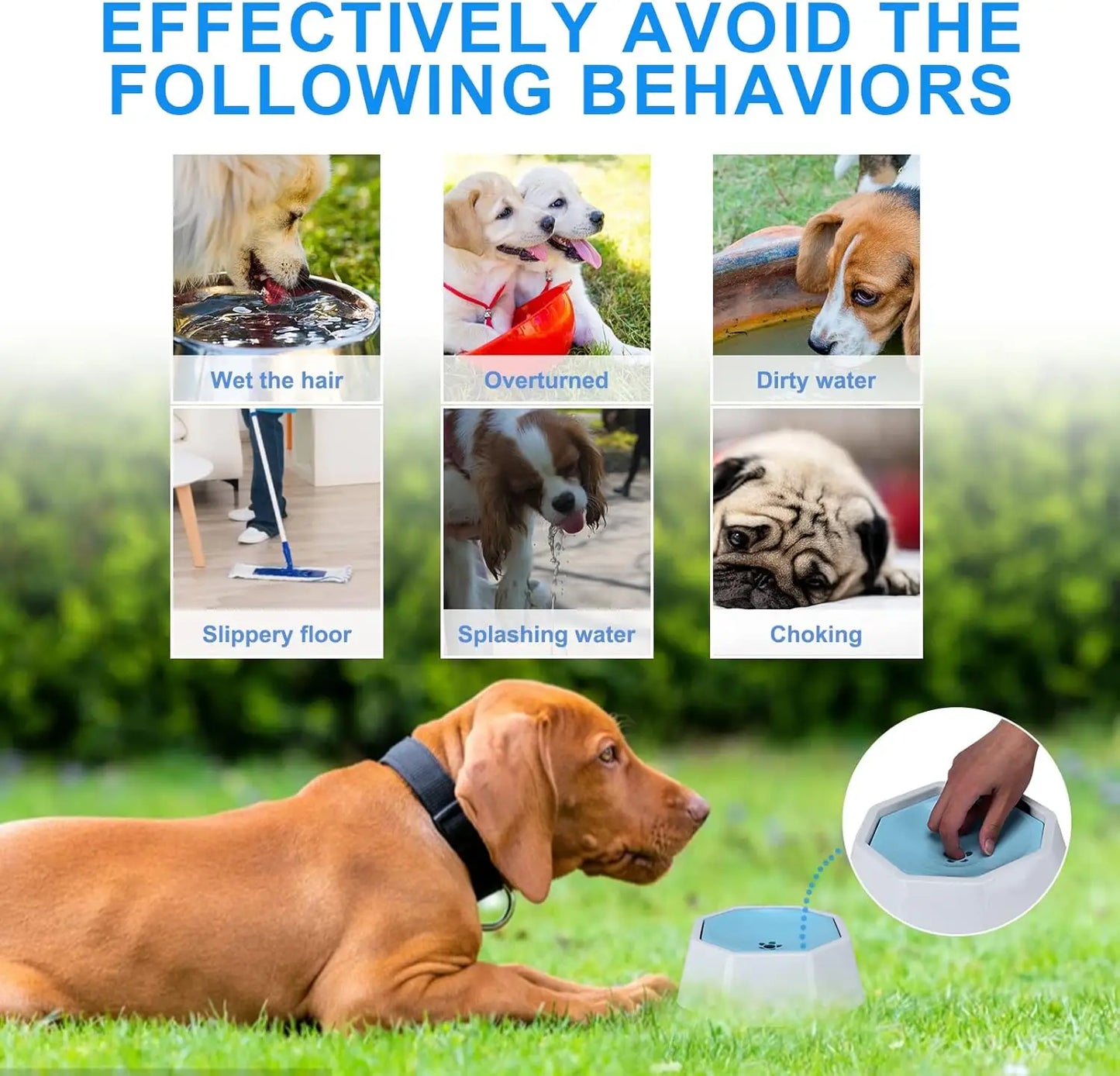 No Spill Splash Free Pet Water Feeder For Car Travel