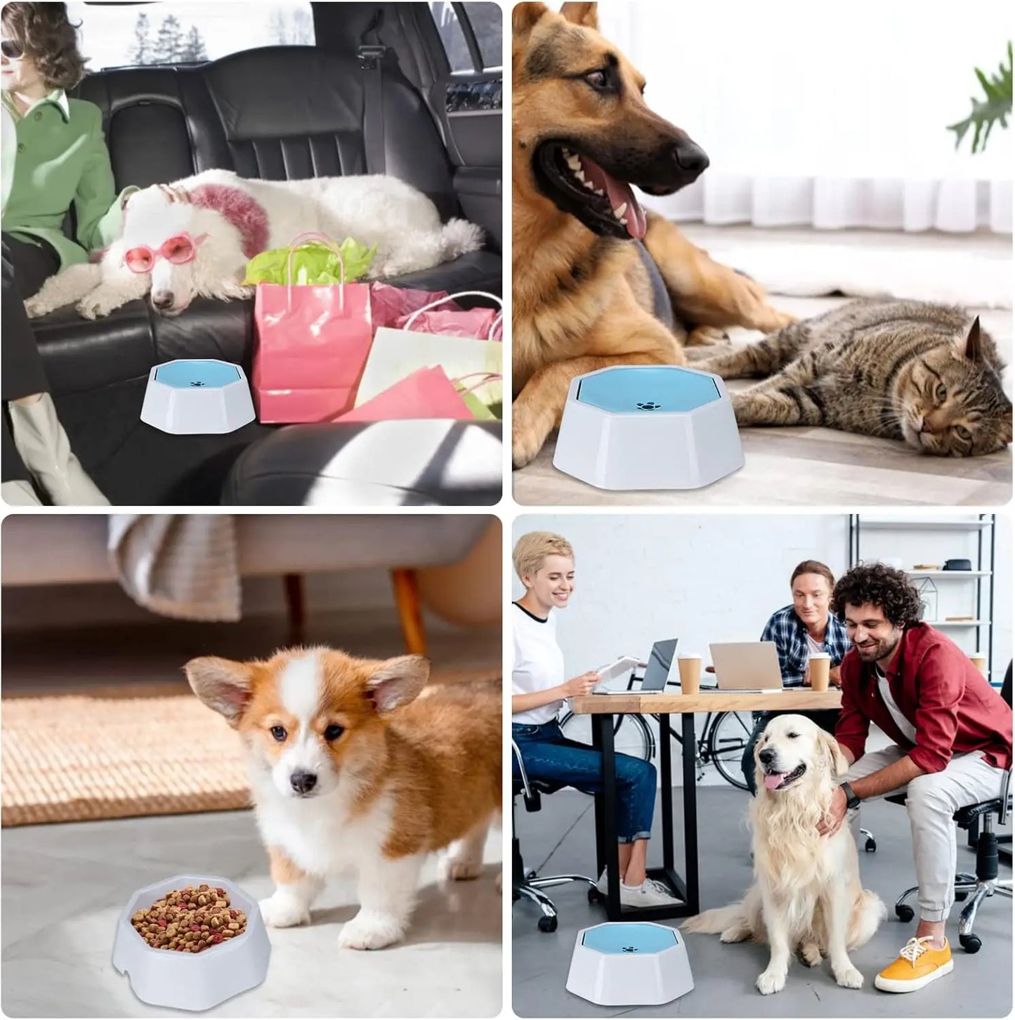 No Spill Splash Free Pet Water Feeder For Car Travel