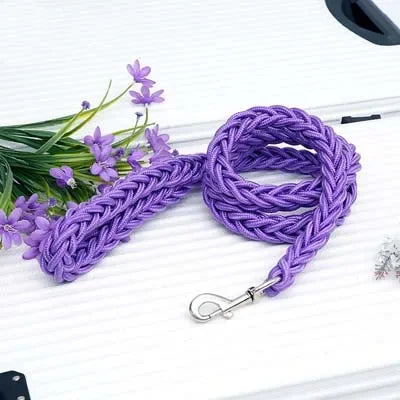 Heavy Duty Nylon Braided Dog Leash For Walking Outdoors