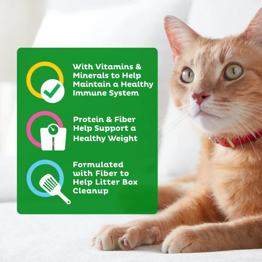 Indoor Essentials Dry Cat Food for Adult Cats Chicken and Salmon Flavors