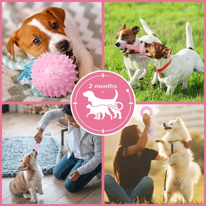 Soft Dog Chew Toys Rubber Bone For Training Molars