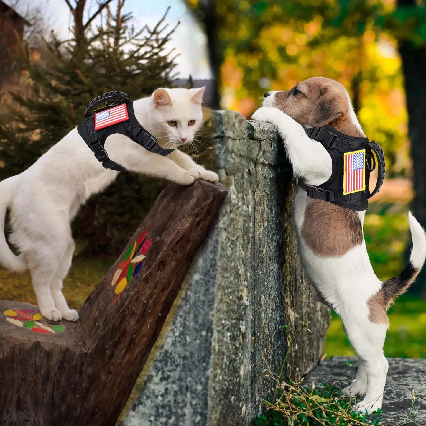 Tactical Puppy Harness Leash Set Adjustable For Small Dogs Cats