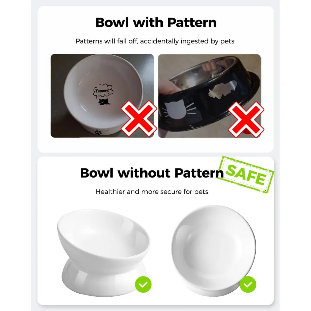 Elevated Ceramic Cat Bowl Tilted Slow Feeder For Spinal Health