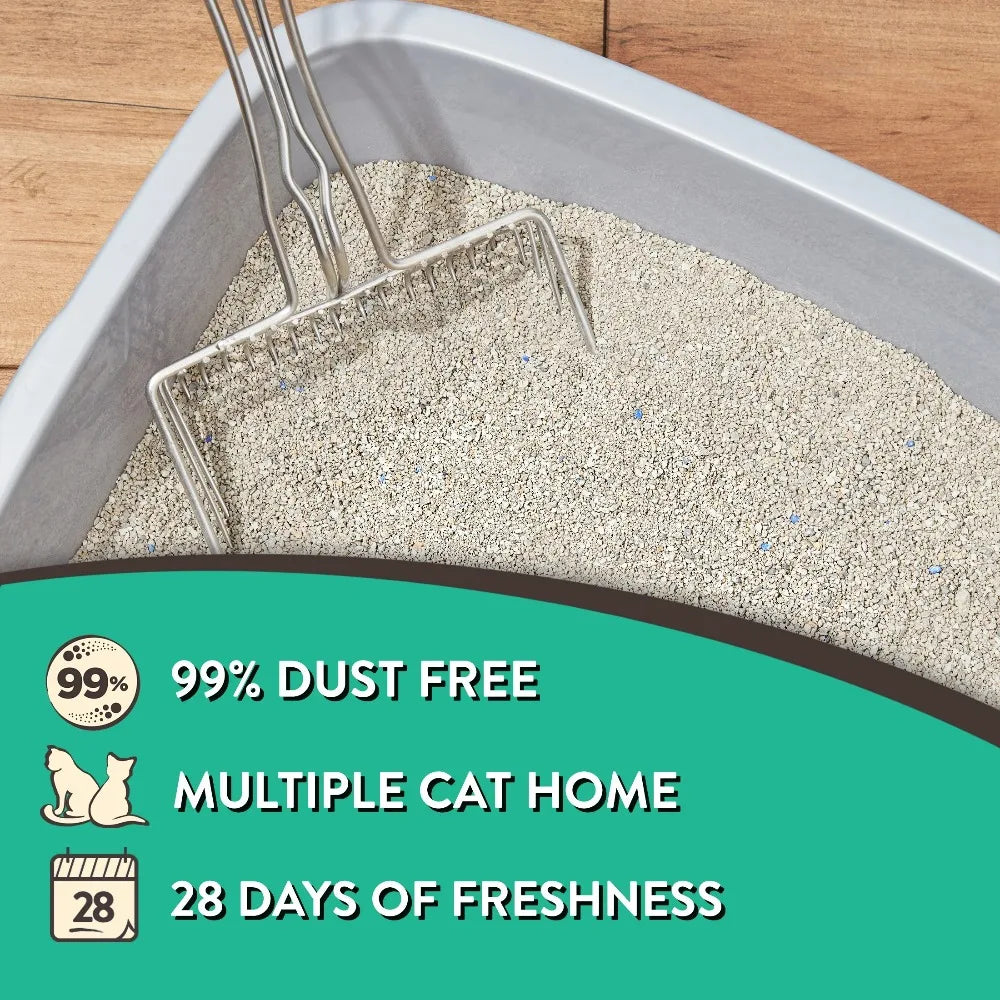 Clumping Clay Cat Litter Fresh Scent 4 Pack Odor Control