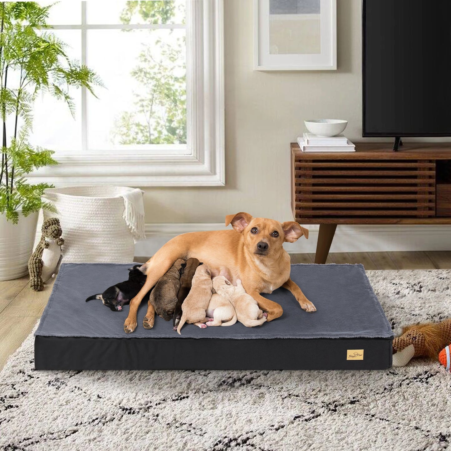 BINGOPAW Orthopedic Washable Dog Crate Bed With Foam Mattress