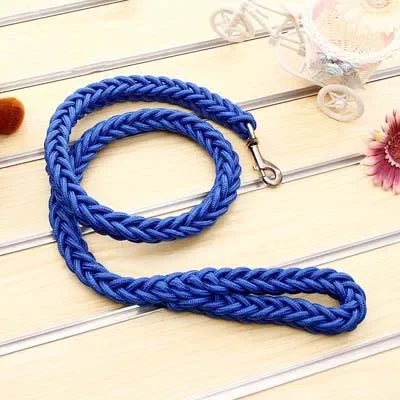 Heavy Duty Nylon Braided Dog Leash For Walking Outdoors