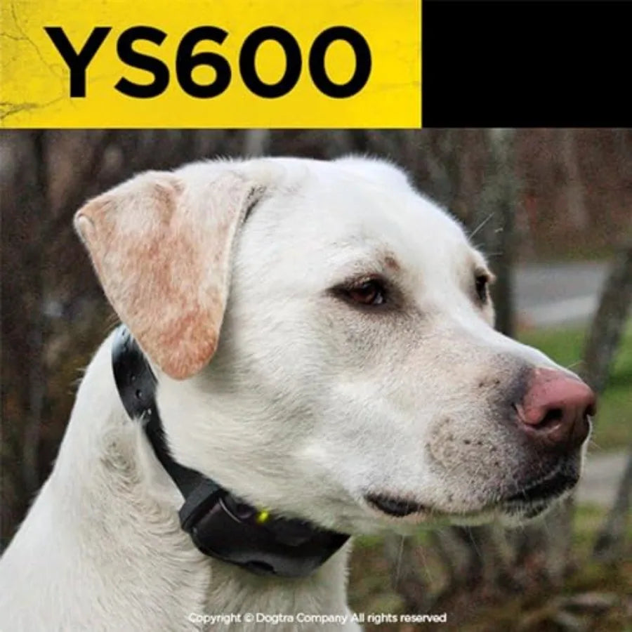 YS600 Rechargeable Waterproof Bark Collar For Outdoor Training