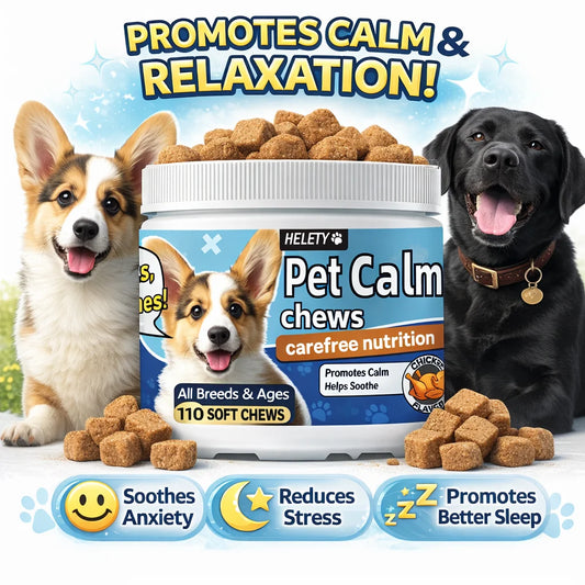 Calming Melatonin Chews for Dogs Stress Relief and Relaxation