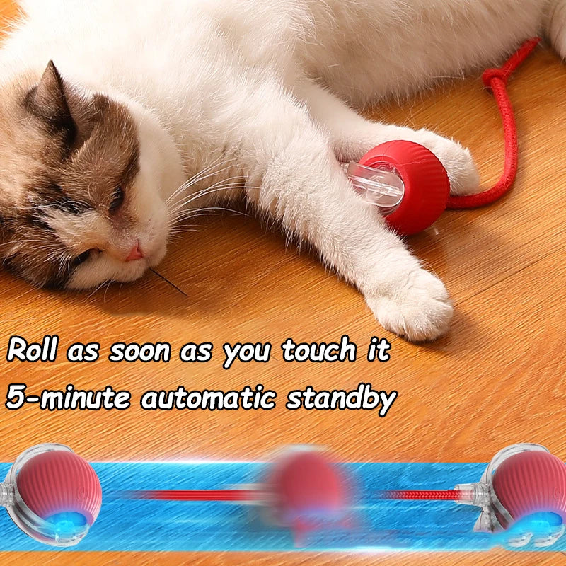 Cat Interactive Ball Toy Automatic Rolling Faux Tail Rechargeable