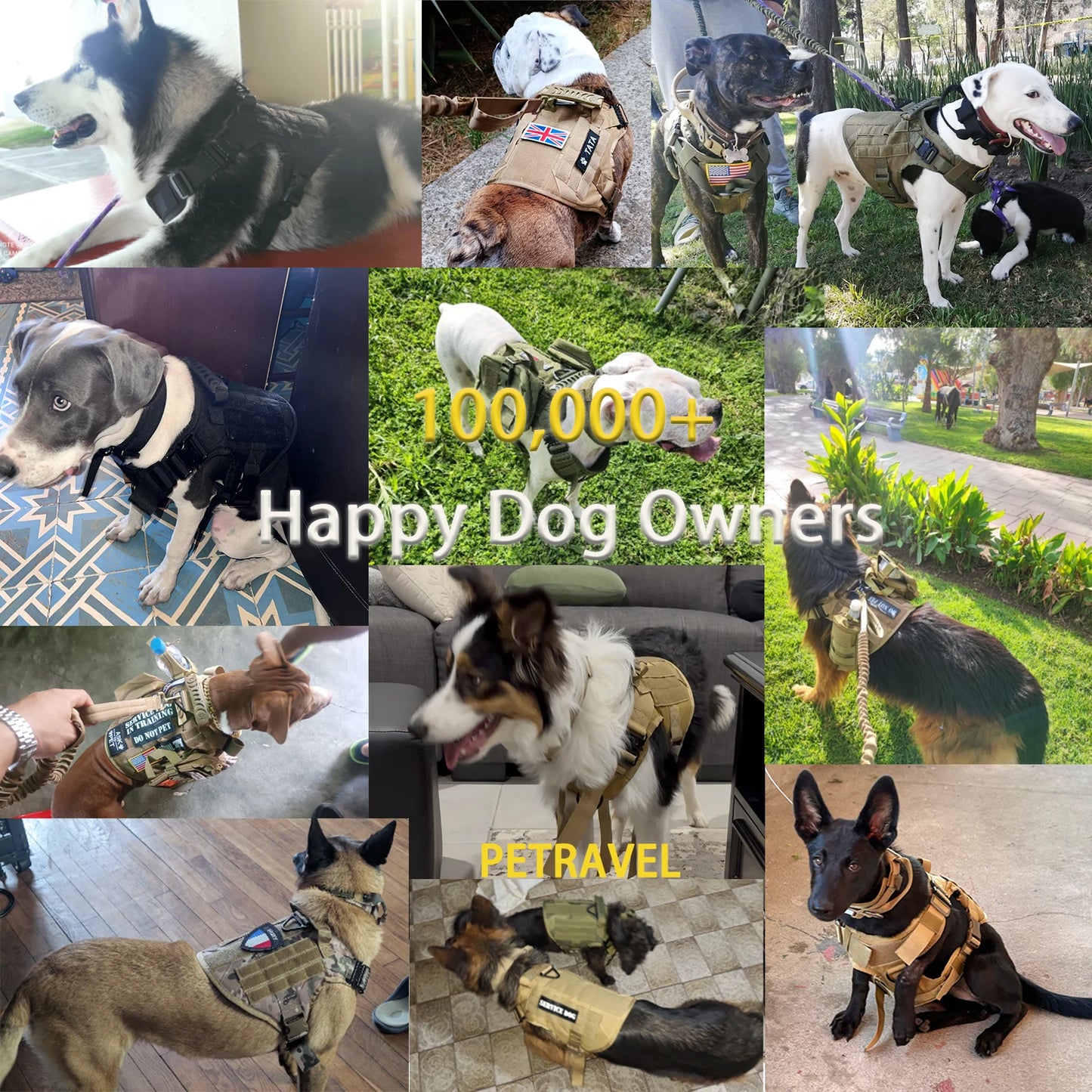 Tactical Molle Dog Harness With Pouches For Training