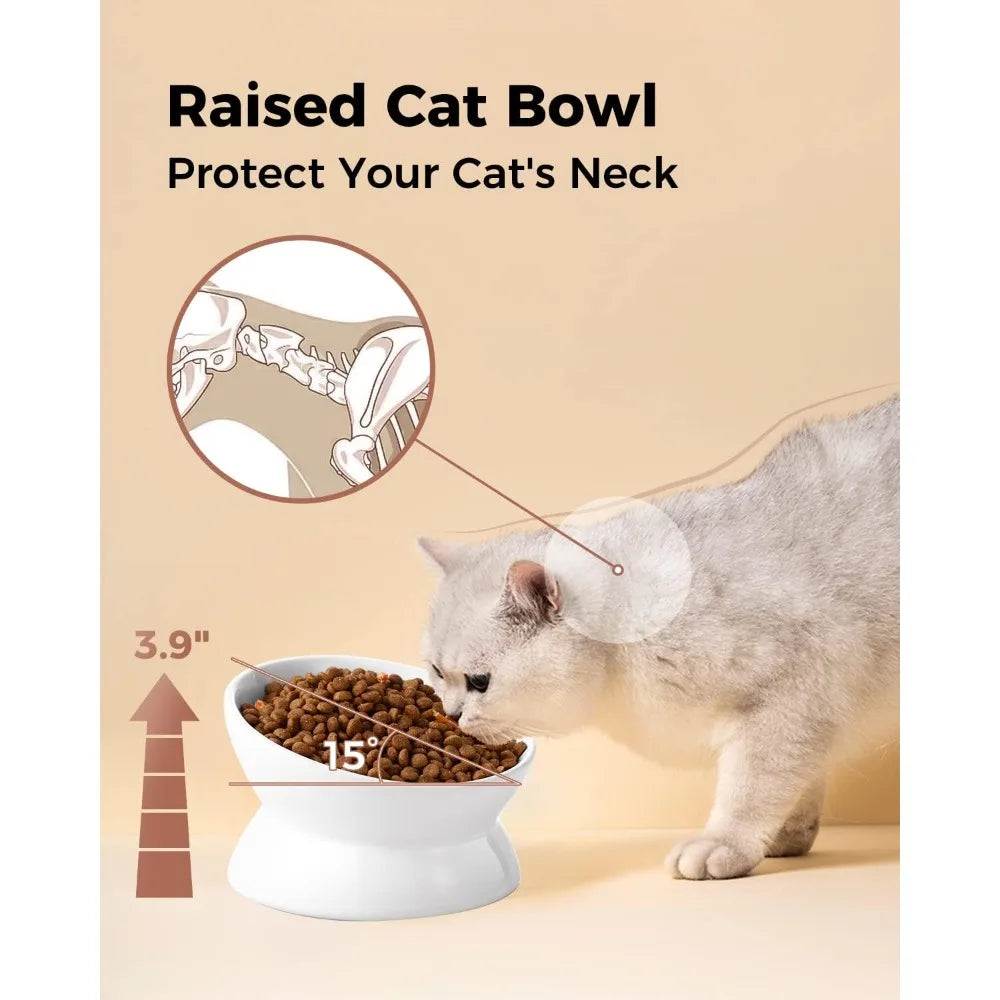 Elevated Ceramic Cat Bowl Tilted Slow Feeder For Spinal Health