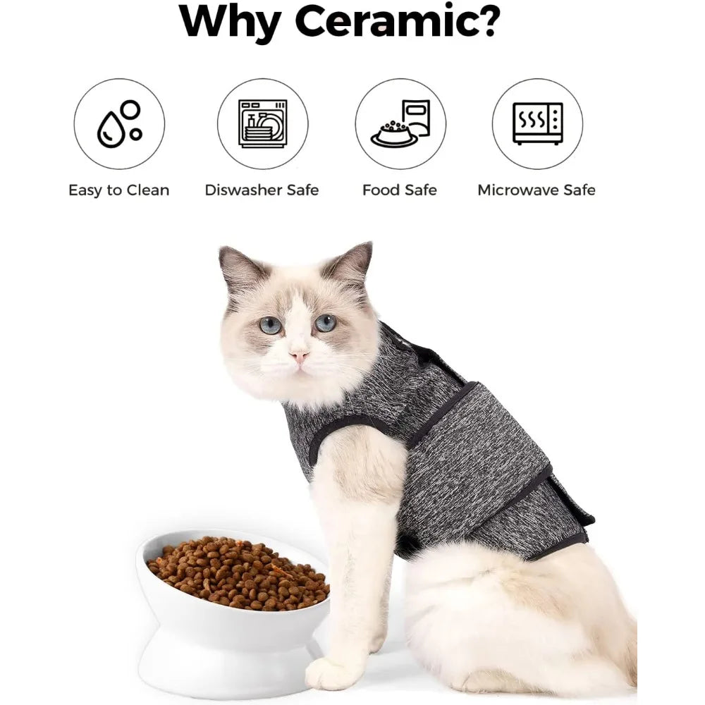 Elevated Ceramic Cat Bowl Tilted Slow Feeder For Spinal Health