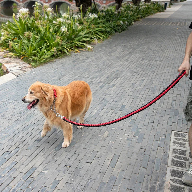 Heavy Duty Nylon Braided Dog Leash For Walking Outdoors