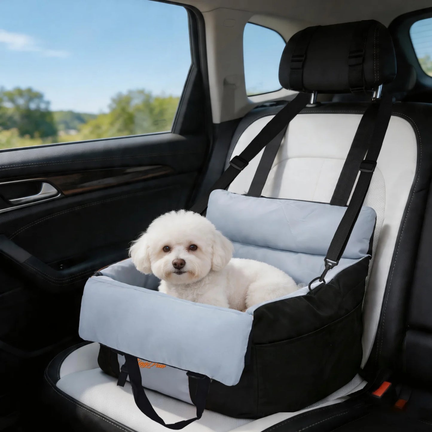 BINGOPAW Dog Car Seat Booster for Small Dogs with Belt