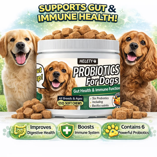 Dog Probiotic Digestive Health Soft Chews With Pumpkin Fish Oil