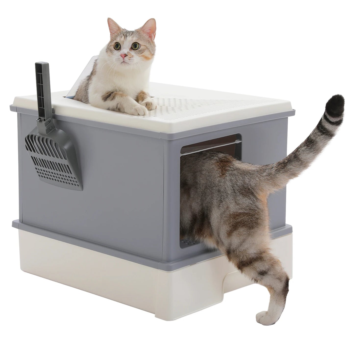 Enclosed Cat Litter Box With Scoop Indoor Use Top Exit