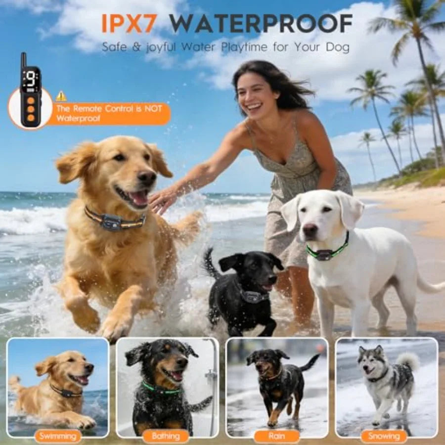 Dog Training Collar Outdoor Silicone Material IPX7 Waterproof Rechargeable