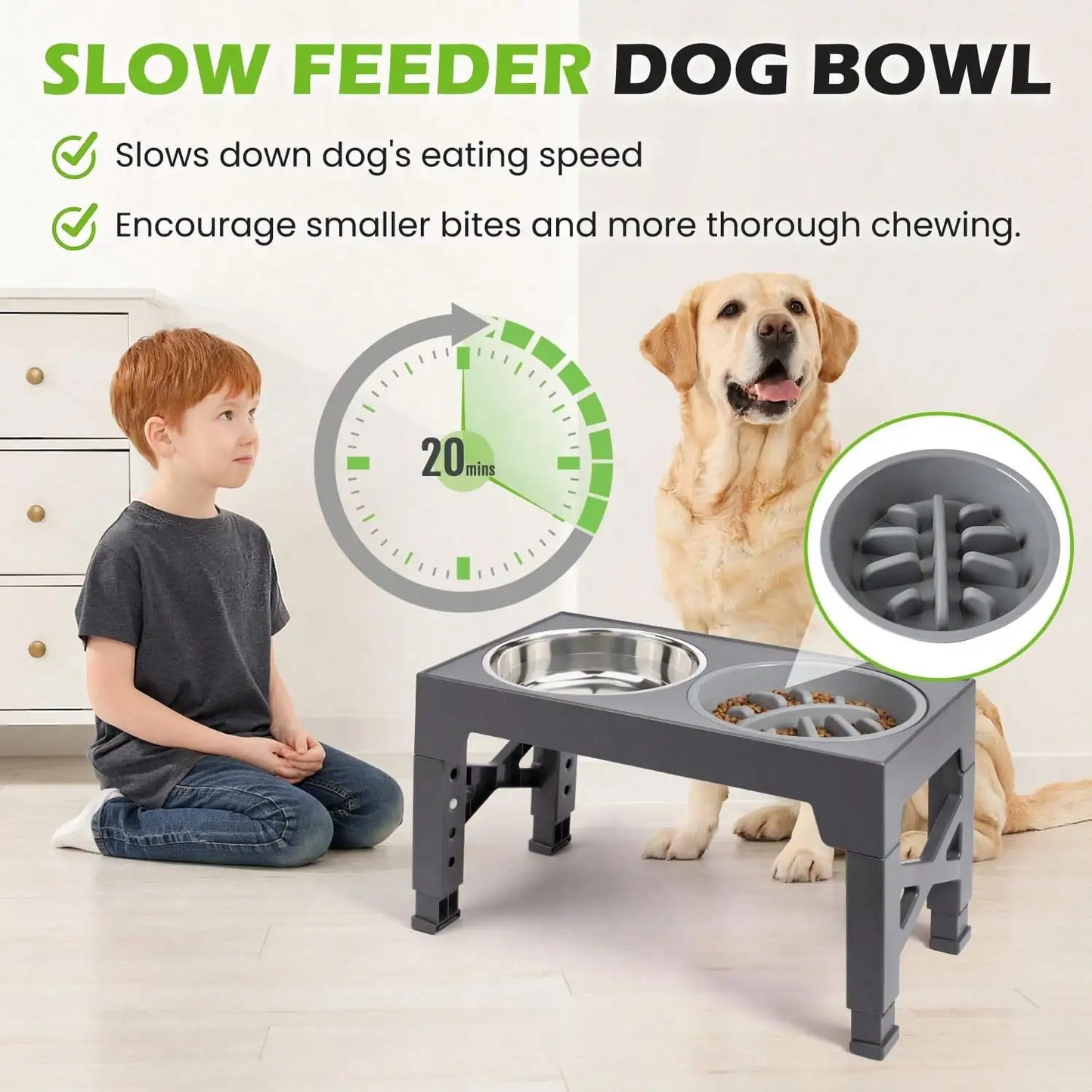 Raised Dog Bowl Set With Adjustable Heights And Slow Feeder