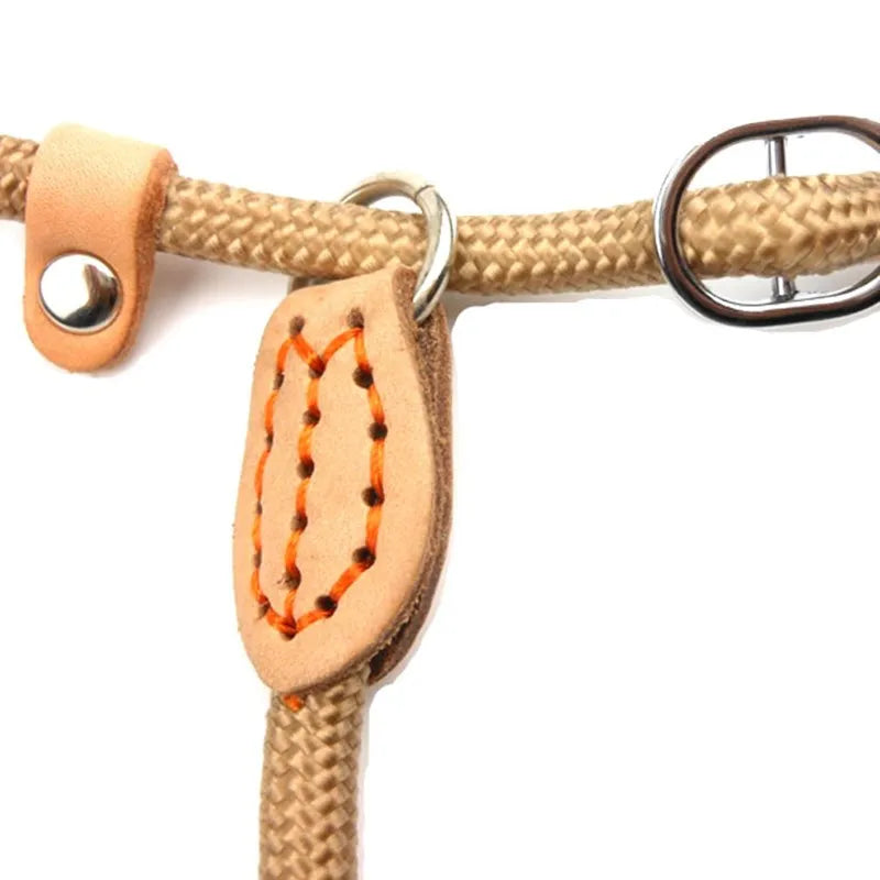 Nylon Dog Leash Heavy Duty Braided Training Lead For Dogs