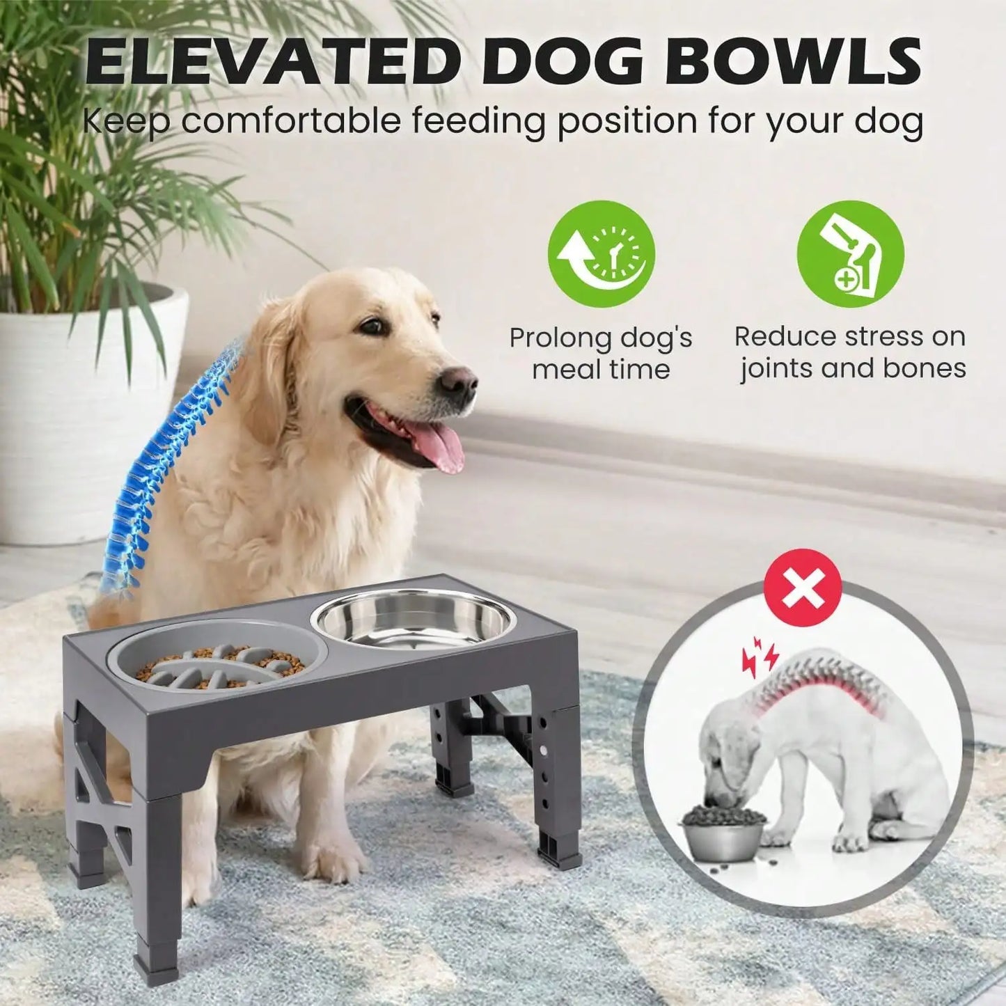 Raised Dog Bowl Set With Adjustable Heights And Slow Feeder