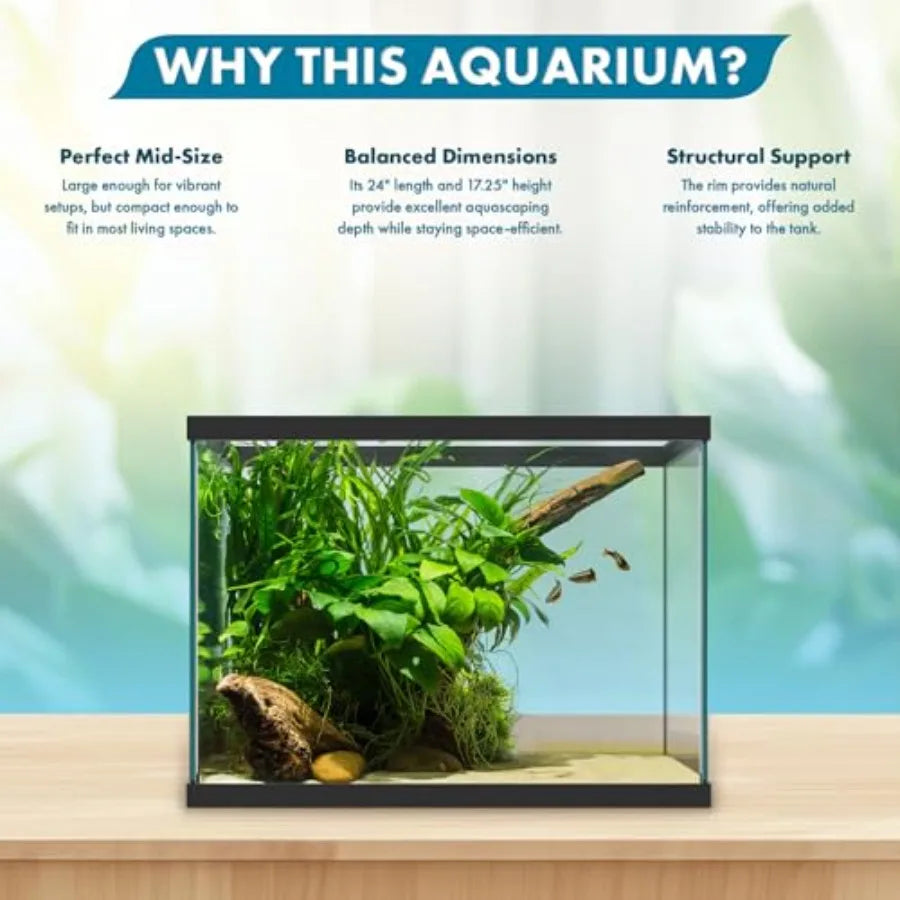 Glass Aquarium Tank For Freshwater And Saltwater Betta