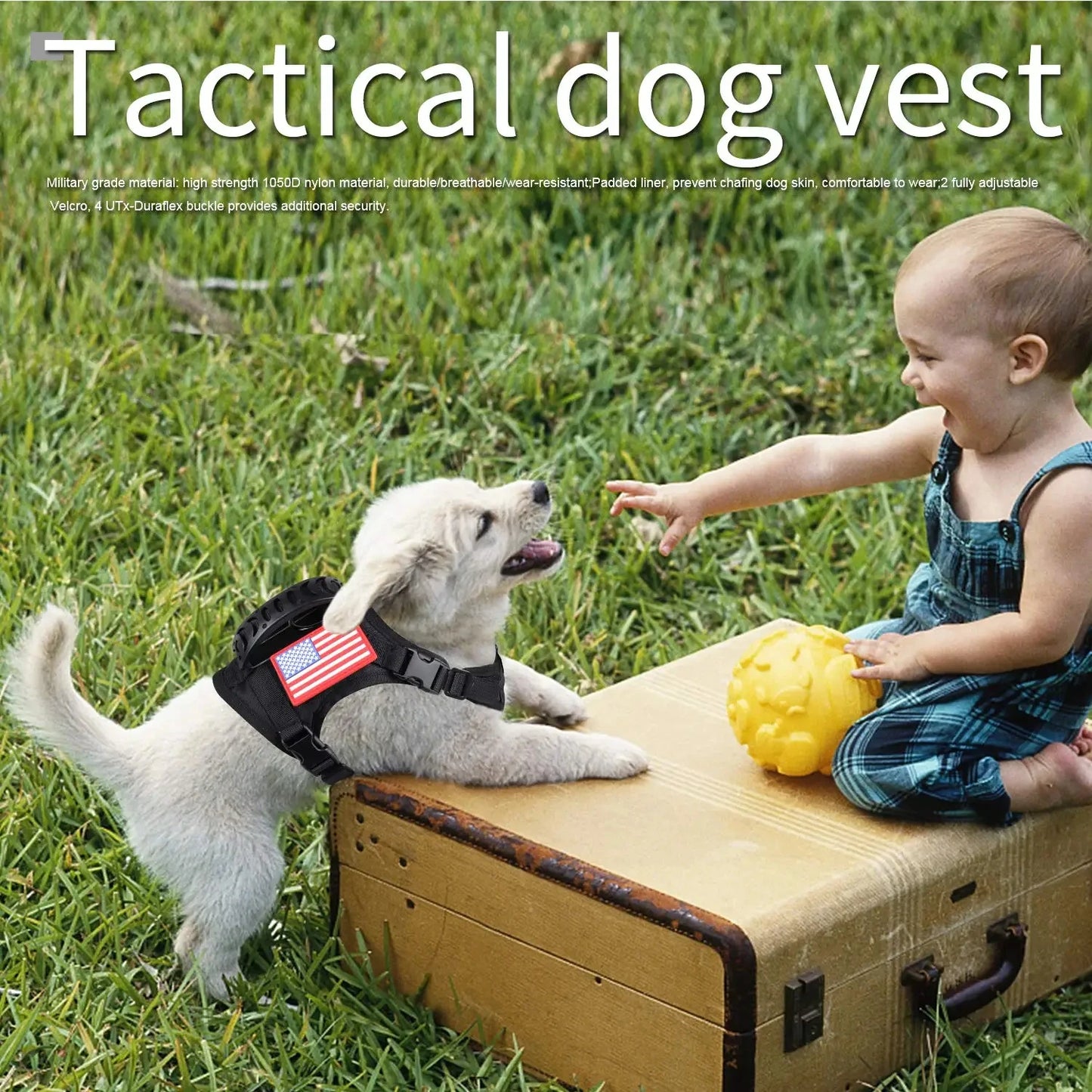 Tactical Puppy Harness Leash Set Adjustable For Small Dogs Cats