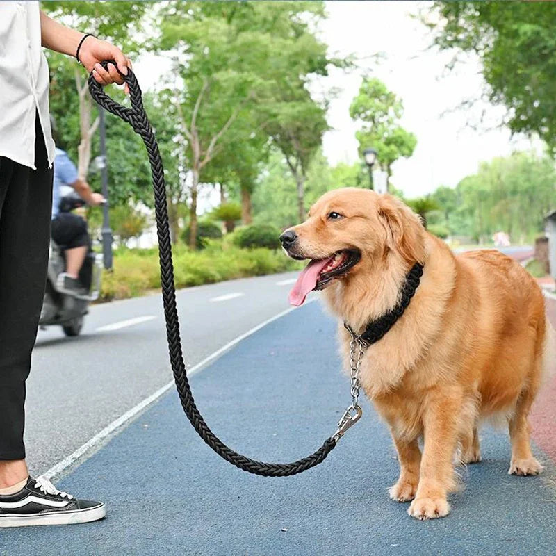 Heavy Duty Nylon Braided Dog Leash For Walking Outdoors