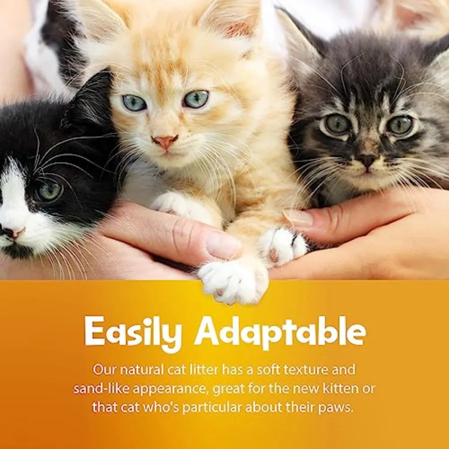 All Natural Clumping Cat Litter Unscented Lightweight Dust Free Formula