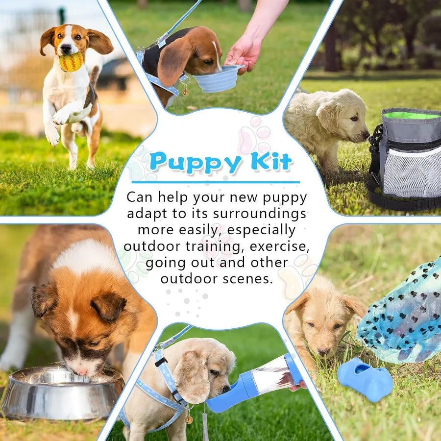 65 Pcs Puppy Starter Kit For Small Dogs Essentials Leash