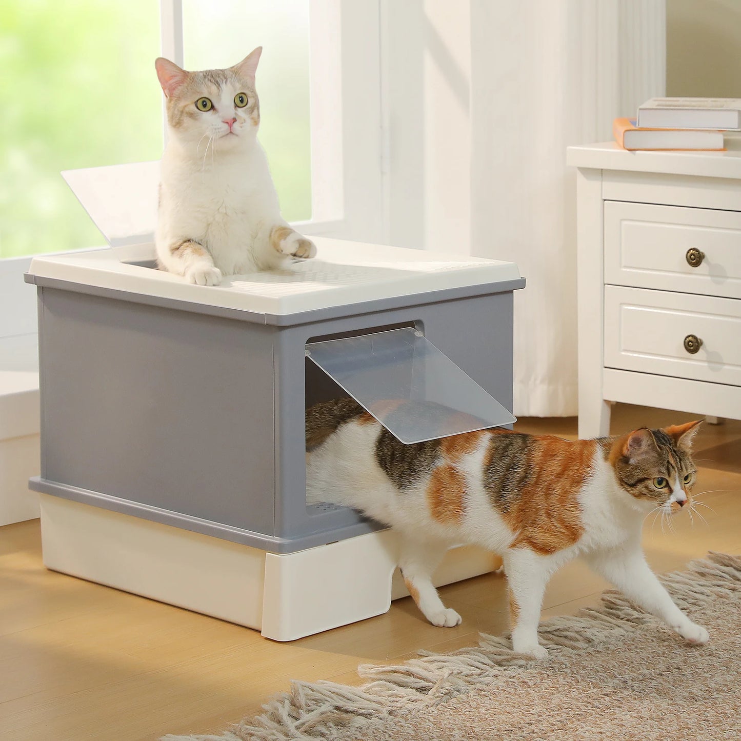 Enclosed Cat Litter Box With Scoop Indoor Use Top Exit