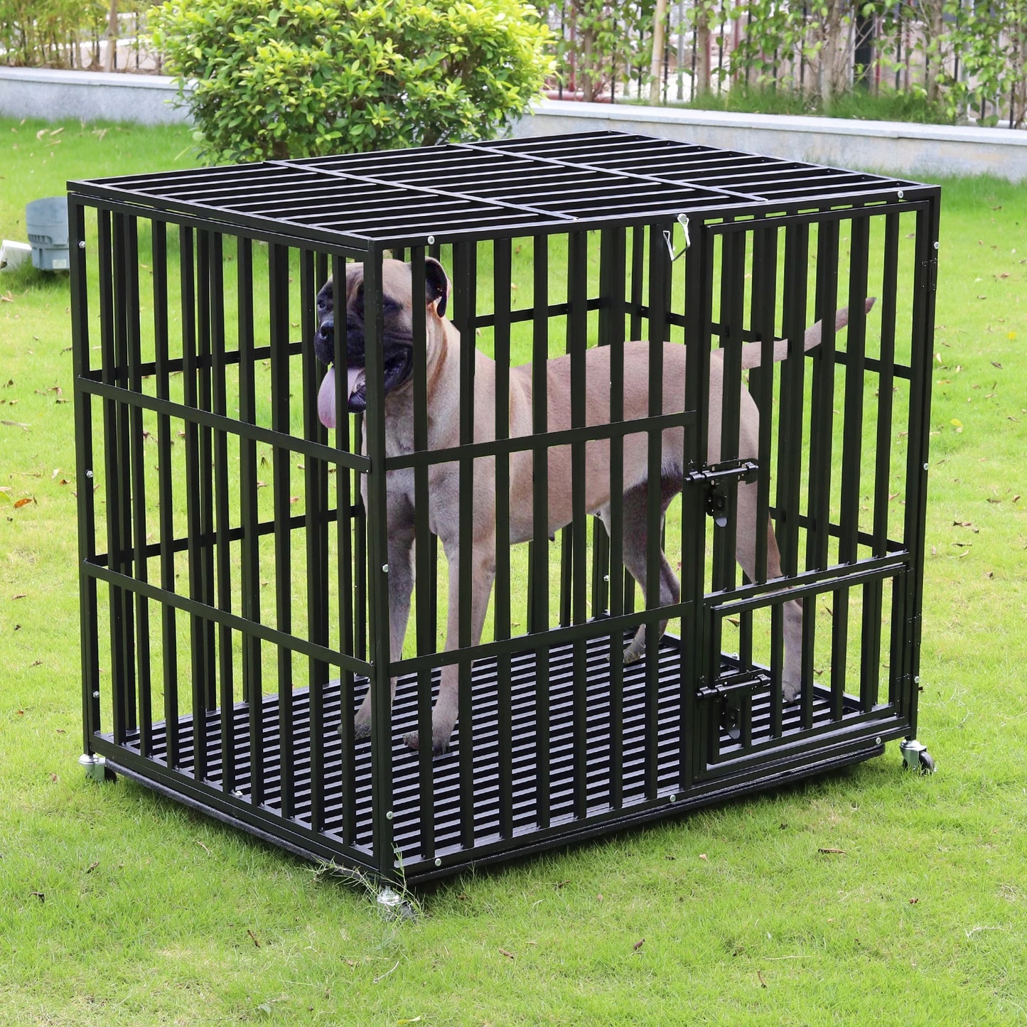 Bingopaw Heavy Duty Dog Cage Three Doors Locks Design With Removable Tray