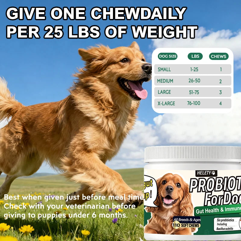 Dog Probiotic Digestive Health Soft Chews With Pumpkin Fish Oil