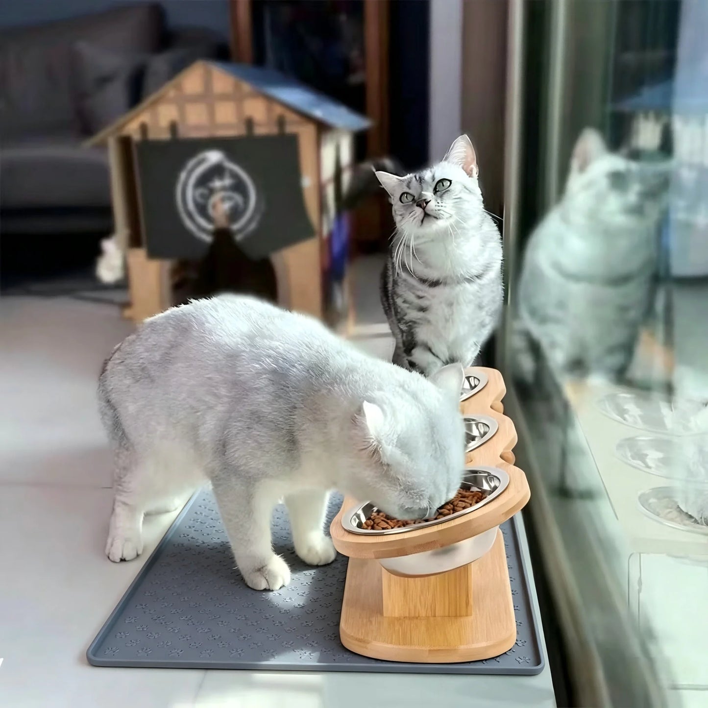 Raised Cat Feeder With Tilted 15 Degree Wood Stand Bowls