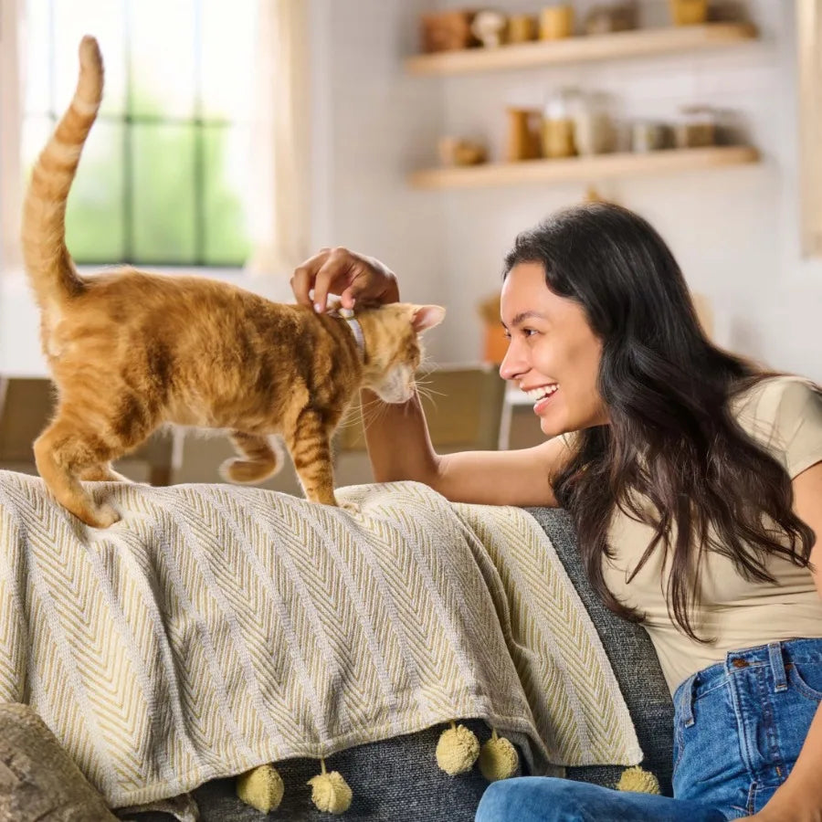 Tender Centers Dry Cat Food Basted Bites Chicken Tuna Flavor