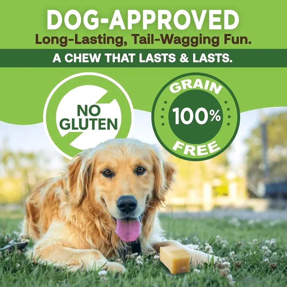 Long Lasting Yak Cheese Dog Chews Lactose Free Natural Treats