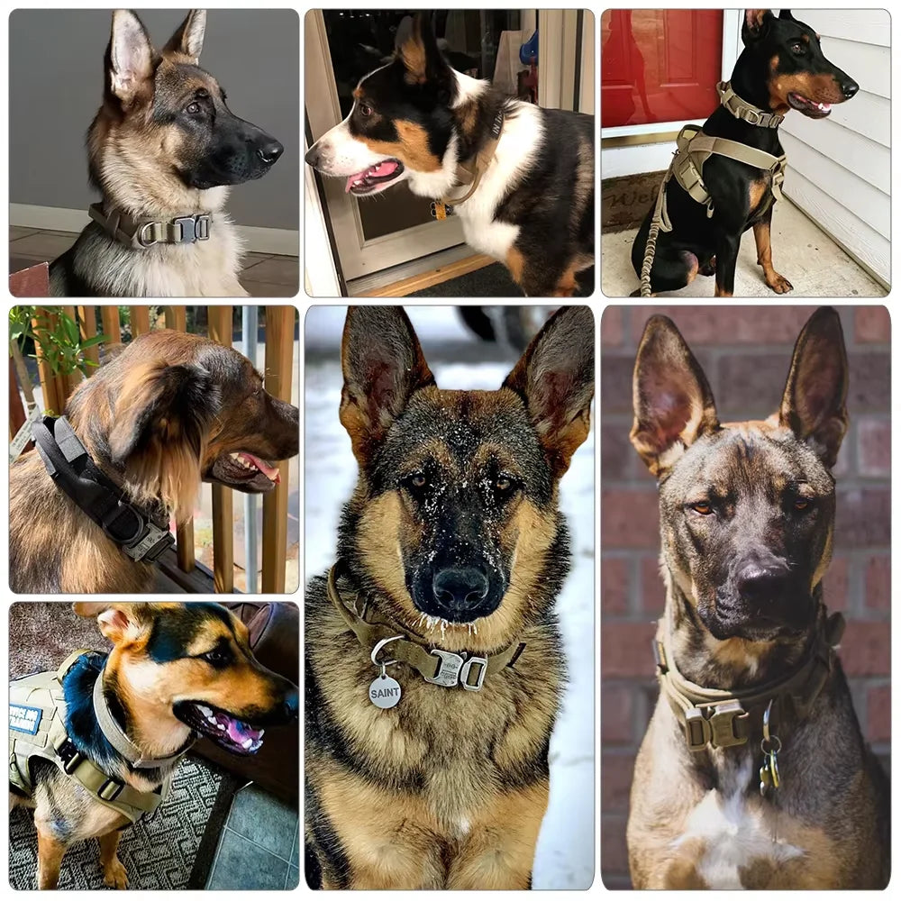 Dog Training Collar Adjustable Tactical Leash Set With Control Handle