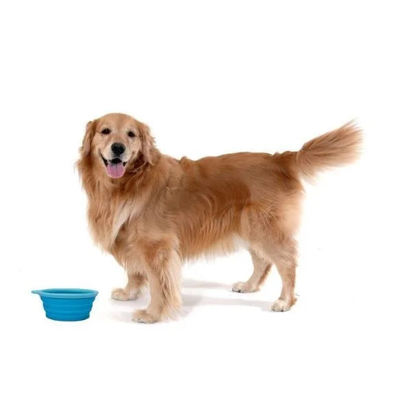 Travel Collapsible Dog Bowl Cat Feeding Cup BPA Free