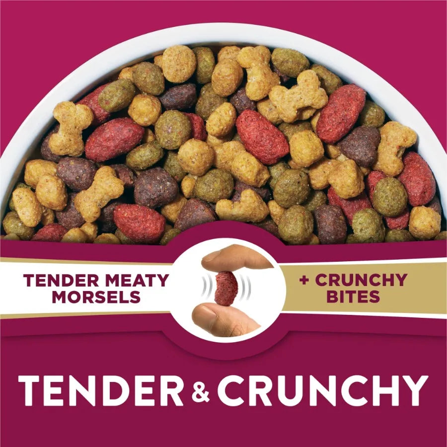 Tender and Crunchy Lamb and Turkey Flavor Dry Dog Food