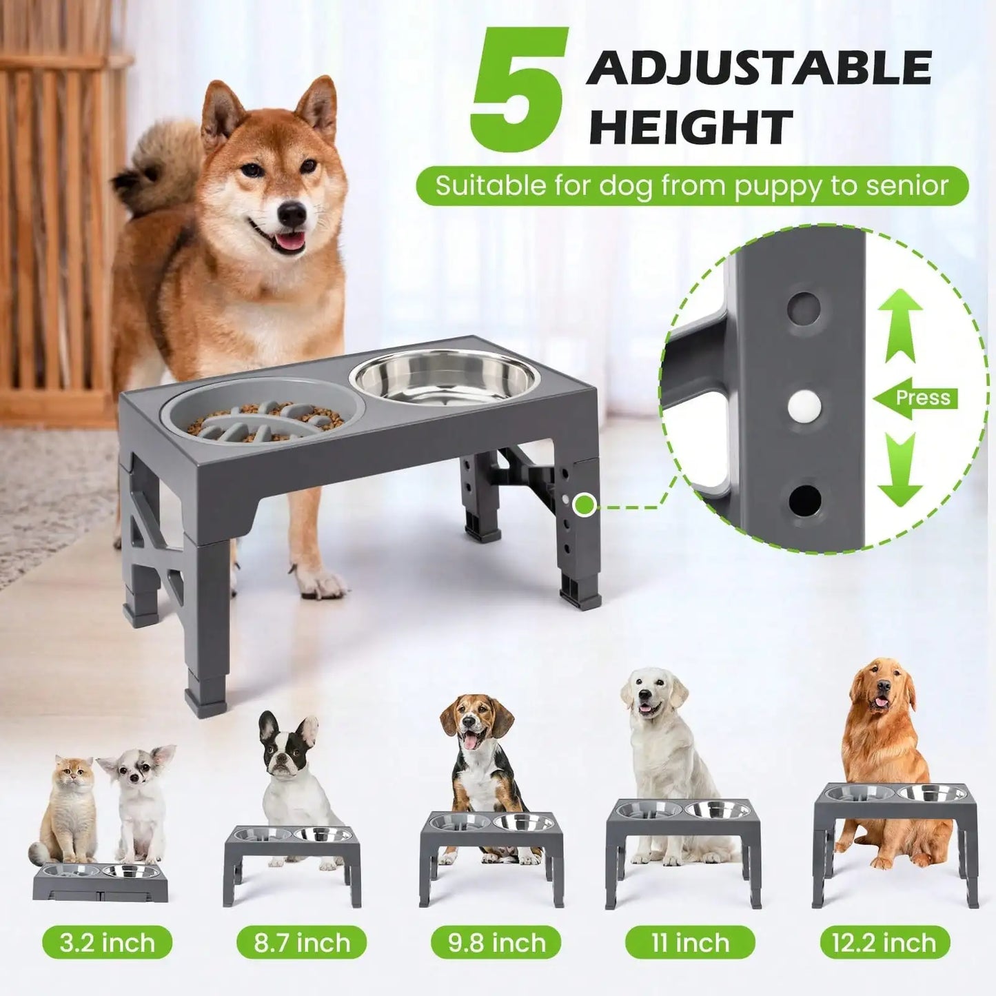 Raised Dog Bowl Set With Adjustable Heights And Slow Feeder