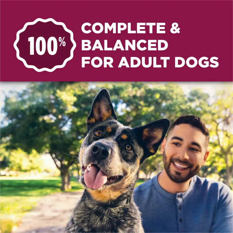 Tender and Crunchy Lamb and Turkey Flavor Dry Dog Food