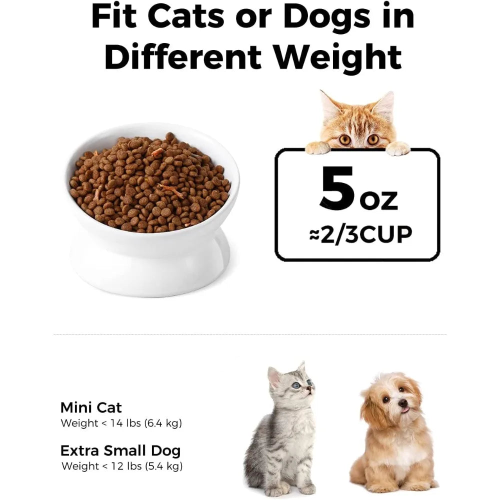 Elevated Ceramic Cat Bowl Tilted Slow Feeder For Spinal Health