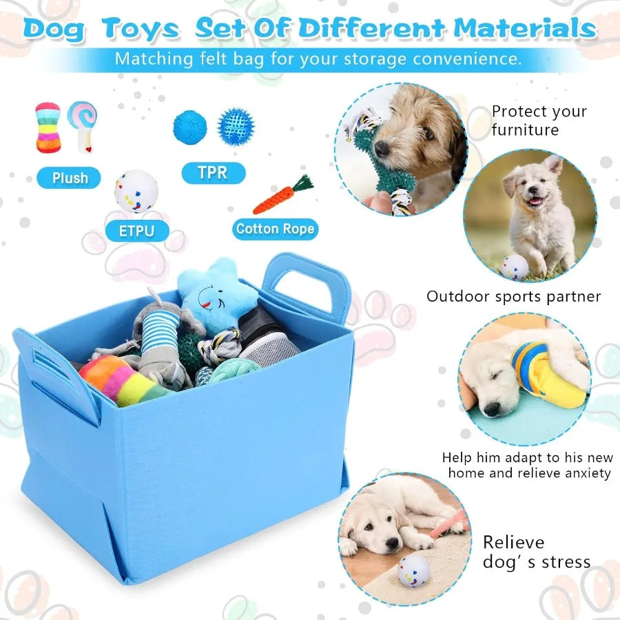 65 Pcs Puppy Starter Kit For Small Dogs Essentials Leash