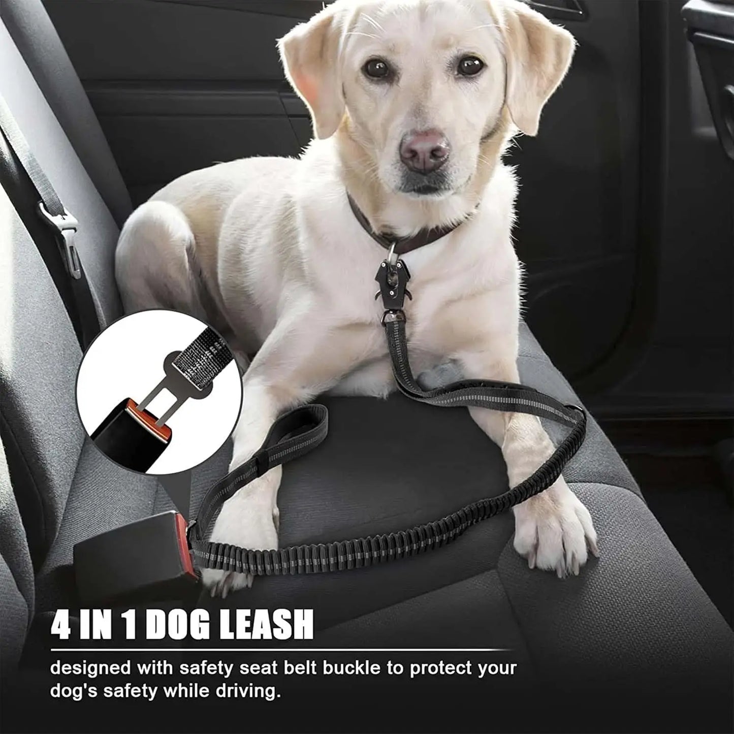 Reflective Shock Absorbing Leash for Large Dogs No Pull Tactical